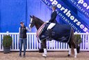 Christan Trainor, Alison Gill and Glenhill Divine Classic, the 2024 DJWTS Young Dressage Pony Champion of Champions. Image: Equisoul