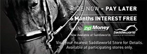 Saddleworld Web Advert November 2016