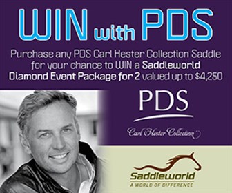 Saddleworld medium July 2016