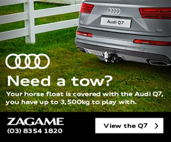 Zagame Audi Medium