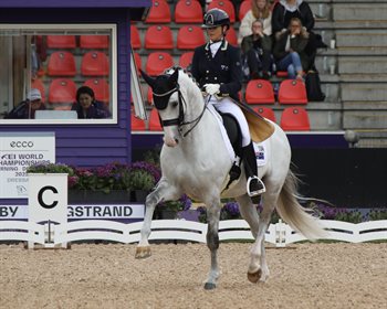 Lyndal Oatley and Eros in the arena at the 2022 FEI World Championships in Herning. © Roger Fitzhardinge