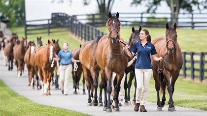 KER’s picturesque 150-acre research farm is located in the heart of Kentucky’s thoroughbred region