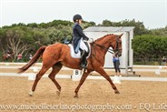 Caitlin Radford from Tas on XL Overtime in the Prix St Georges.