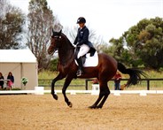Holly Cutler and Diva Royale looking great in the pirouette.