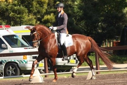 Brett Parbery and Yarramee Serendipity, who won Champion 6 Year Old Horse - © Roger Fitzhardinge