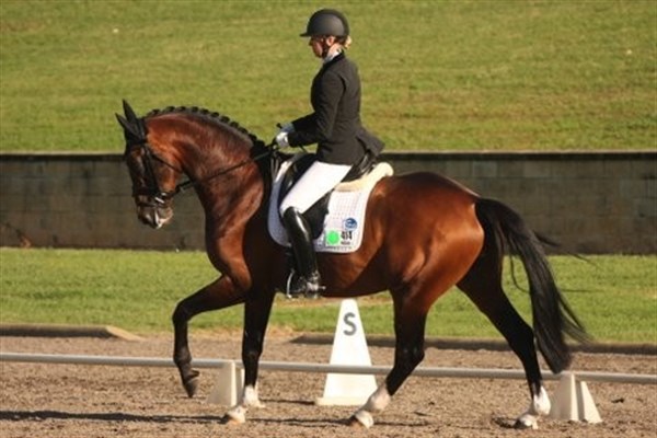 Gina Montgomery and Iresias L, who won Champion 4 Year Old Horse - © Roger Fitzhardinge