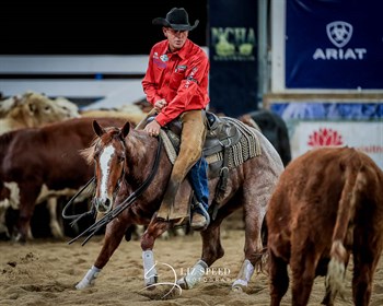2018 SDP Buffalo Ranch Open Futurity Final Winner ‘Duplicity’ ridden by Todd Graham. © Liz Speed Photography