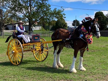 2019 Champion Harness Horse & Champion Turnout, McMurchie Kendall and Liz Lewis