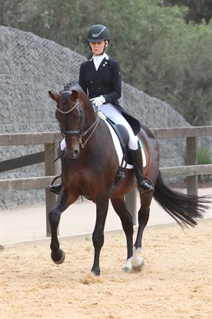 Kate Kyros and Intro K warming up at the 2023 Hawkesbury Dressage Festival.  Image by Roger Fitzhardinge.