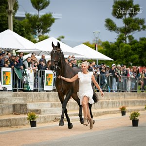 Megan Jones and Toulando flying through the CCI5*L trot-up. Image: Michelle Terlato Photography