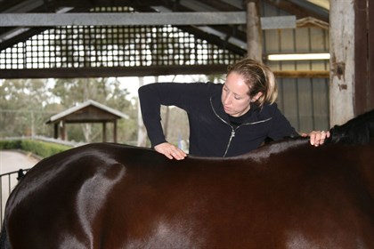 A hands on assessment can give a deeper understand to your horses physical limitations. © Emma Mathlin