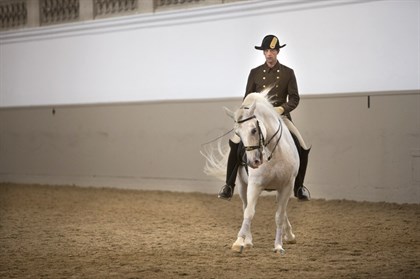 A rider demonstrating at the Spanish Riding School © Dorte Tuladhar