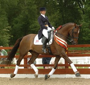 Amy Stovold with her old Grand Prix horse Macbrian