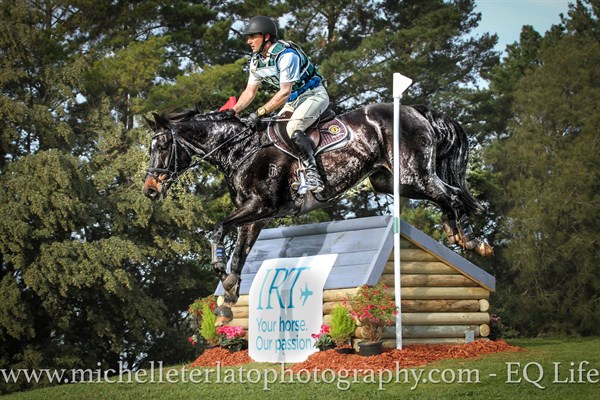 Andrew Barnett from NSW on Bradgate Park Fonzie took out the CCI2* © Michelle Terlato
