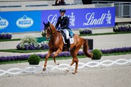 Andrew Hoy and Vassily de Lassos in the extended canter.