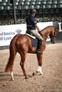 Andrew Hoy's horse, Vassily de Lassos, was sporting the Aussie Flag on his rump - © Michelle Terlato