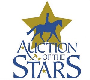 Auction of the stars