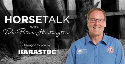 Barastoc 'Horsetalk' graphic