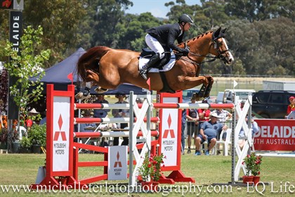 Billy Raymont on Oaks Redwood NWC, winners of the World Cup Qualifier at the Aus3DE - © Michelle Terlato Photography