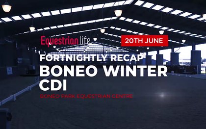 Boneo Winter CDI - EQ Recap