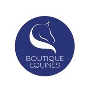 Boutique Equines logo