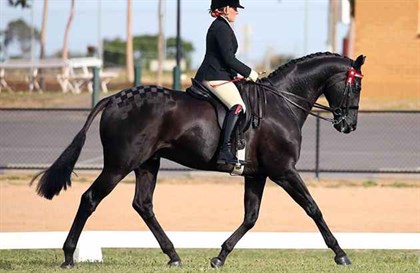 Briony Randle and her striking black gelding Entourage © Racing Victoria