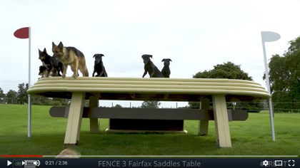 Burghley Horse Trials cross country preview with dogs - Screenshot