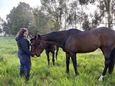 Calla Wahlquist is enjoying having horses back in her life. © Calla Wahlquist