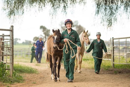 Charles Sturt University’s Bachelor of Equine Science is one of only two of its kindin Australia