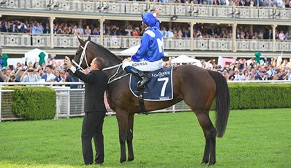 Chris Waller and High Bowman acknowledge the crowd after Winx's win © Bradley Photos