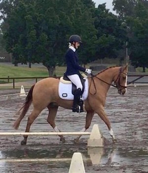 Claire Nitschke and Tassas Taboo splashing through the puddles to 6th in the Novice 2B. © Dana Krause