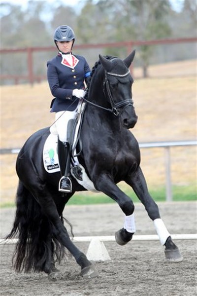 Daniella Dierks and the Jenny Rapson-owned Tjibbe B for a win and 81.52% in the Preliminary 1.3 - © Roger Fitzhardinge