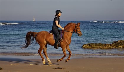 Dianne and Khalif, of Seahorse Diamond Beach, galloping along back beach. © Seahorse Diamond Beach