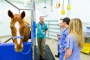 Dr. Nicola Pusterla discusses equine medicine with UC Davis veterinary students. © UC Davis