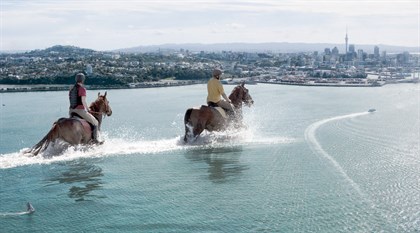 EQUITANA Auckland - Horses running through water