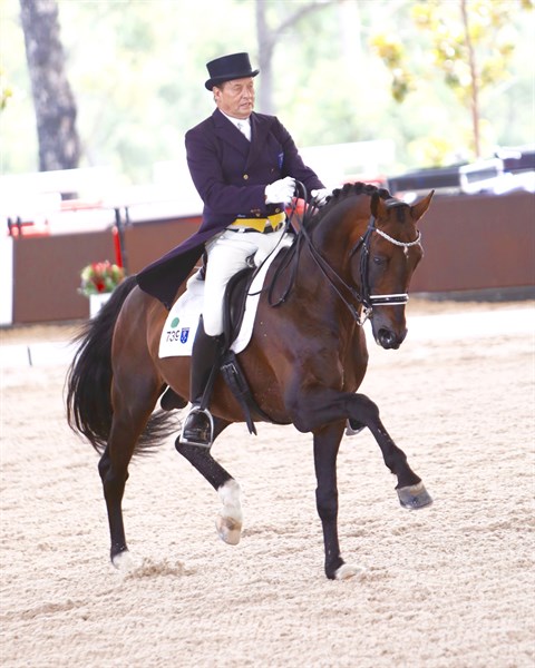 Fantastic test by Dirk Dijkstra and AEA Metallic at Willinga Park Dressage by the Sea CDI4* © Roger Fitzhardinge