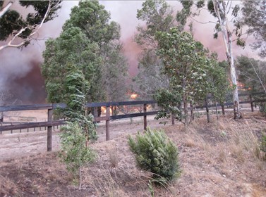 Fire in the back paddock. © Andrew McLean