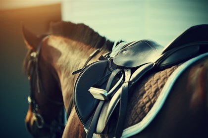 Horse and saddle - Shutterstock