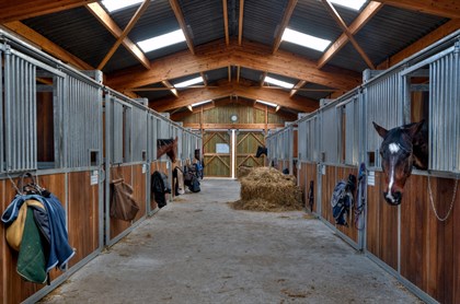 Horse stable - Labelled for reuse