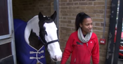 Horses can read human emotions, new study shows