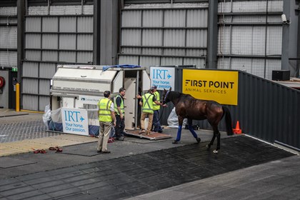IRT's First Point Animal Services facility at Melbourne Airport. © EQ Life/IRT