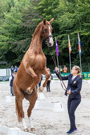 Isabell Werth and Bella Rose during the dressage inspection at the FEI European Champs. © FEI/Kim C Lundin