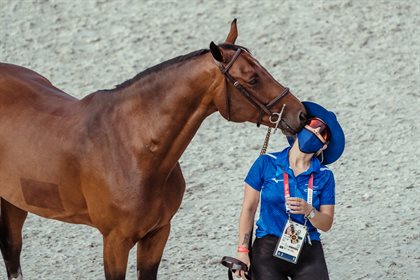 Israeli Jumping horse Donatello 141 during the 2nd horse inspection at Tokyo 2020. © FEI/Christophe Taniére