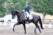 Kate Taylor-Wheat and Destano II scored a huge 74.57% in the Novice  2.3 test for 2nd - © Roger Fitzhardinge