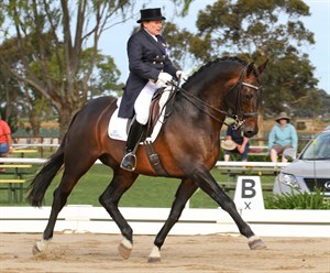 Kerry Mack, pictured here riding her beautiful stallion Mayfield Pzazz © Michelle Terlato