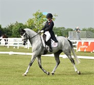 Laura Collett and Calmaro lead the CCIYH at Tattersalls after the dressage - © Tattersalls International Horse Trials