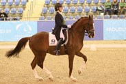 Lesley-Anne Taylor and Amicelli Gold in the Grand Prix Freestyle - © Roger Fitzhardinge