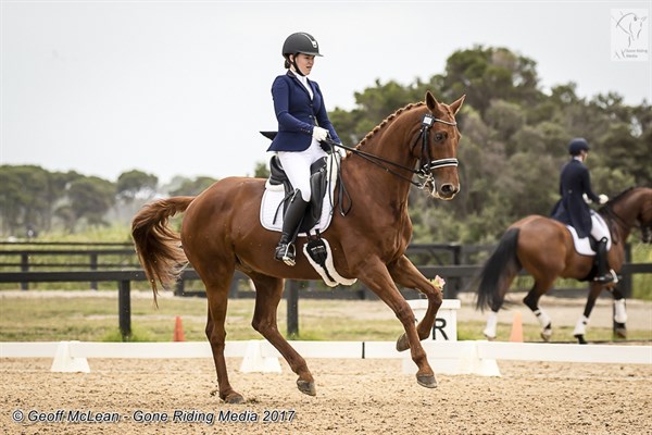 Lindsey Ware and Let's Jazzaround in the FEI Junior Individual 14-18 years.