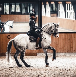 Lyndal Oatley and Eros, pictured here training at home. © Lyndal Oatley