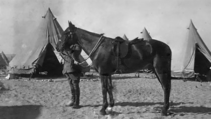Major General Sir William Throsby Bridges holding the bridle of his favourite charger, Sandy. Credit: Australian War Memorial